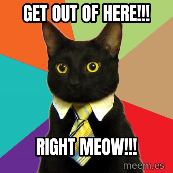 Business Cat meme: Get out of here!!! / Right meow!!!