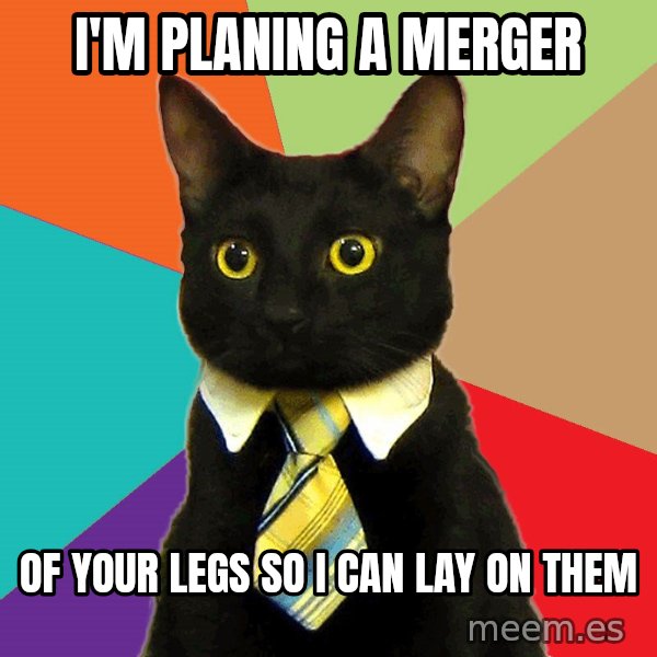 Business Cat meme: I'm planing a merger / of your legs so I can lay on them