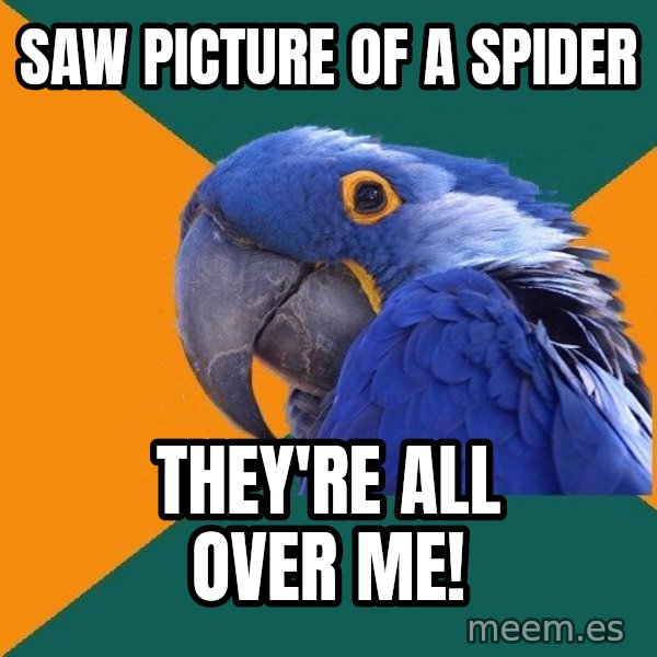 Paranoid Parrot meme: Saw picture of a spider / They're all over me!