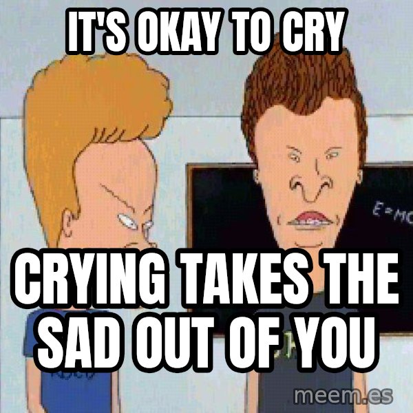 Beavis and butthead meme: IT'S OKAY TO CRY / CRYING TAKES THE SAD OUT OF YOU