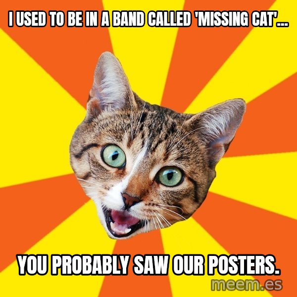 Bad Advice Cat meme: I used to be in a band called 'Missing Cat'... / You probably saw our posters.