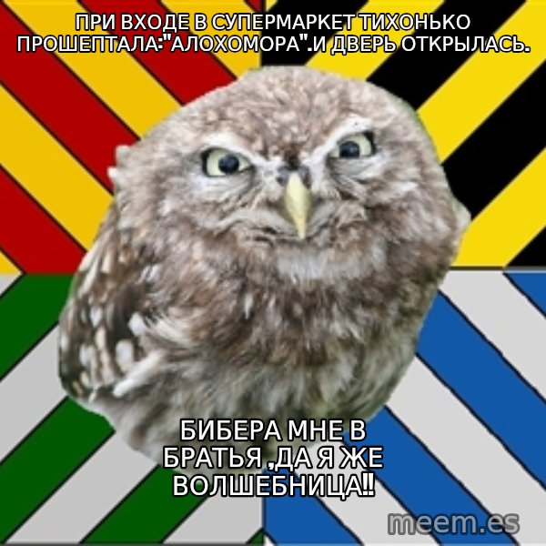 JEALOUS POTTEROMAN meme: при входе в супермаркет тихонько прошептала:"алохомора".И ДВЕРЬ ОТКРЫЛАСЬ. / бибера мне в братья ,да я же волшебница!!