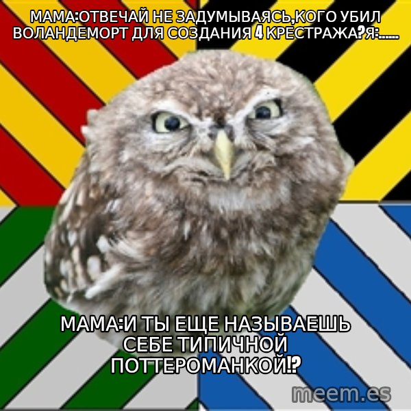 JEALOUS POTTEROMAN meme: Мама:отвечай не задумываясь,кого убил воландеморт для создания 4 крестража?я:...... / Мама:и ты еще называешь себе типичной поттероманкой!?