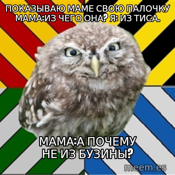 JEALOUS POTTEROMAN meme: показываю маме свою палочку мама:из чего она? Я: из тиса. / мама:а почему не из бузины?
