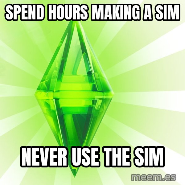 Sims meme: Spend hours making a sim / never use the sim