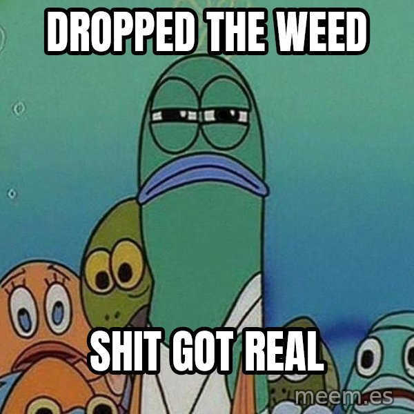 Serious Fish Spongebob meme: dropped the weed / Shit got real