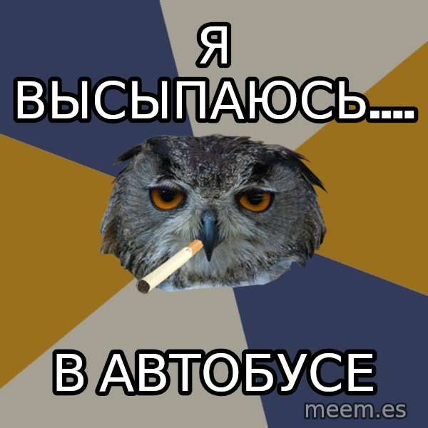 Art Student Owl meme: я высыпаюсь.... / в автобусе