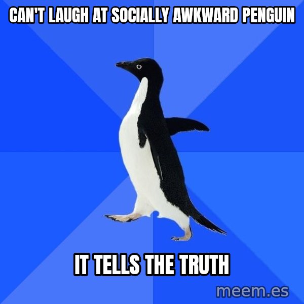 Socially Awkward Penguin meme: can't laugh at Socially awkward penguin / it tells the truth