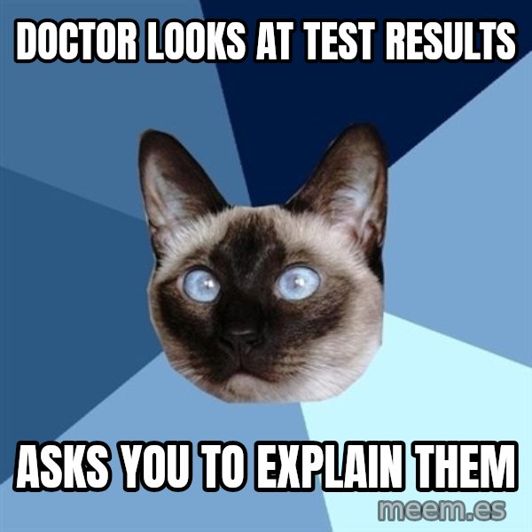 Chronic Illness Cat meme: DOCTOR LOOKS AT TEST RESULTS / ASKS YOU TO EXPLAIN THEM