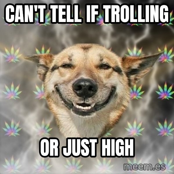 Stoner Dog meme: Can't tell if trolling / Or just high