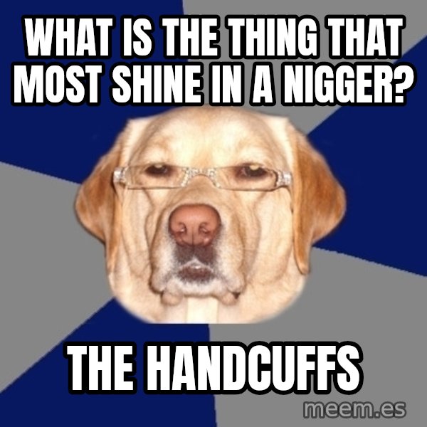 Racist Dawg meme: what is the thing that most shine in a nigger? / The handcuffs