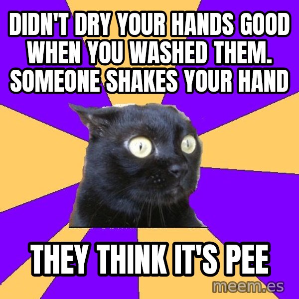 Anxiety Cat meme: DIDN'T DRY YOUR HANDS GOOD WHEN YOU WASHED THEM. SOMEONE SHAKES YOUR HAND / they think it's pee