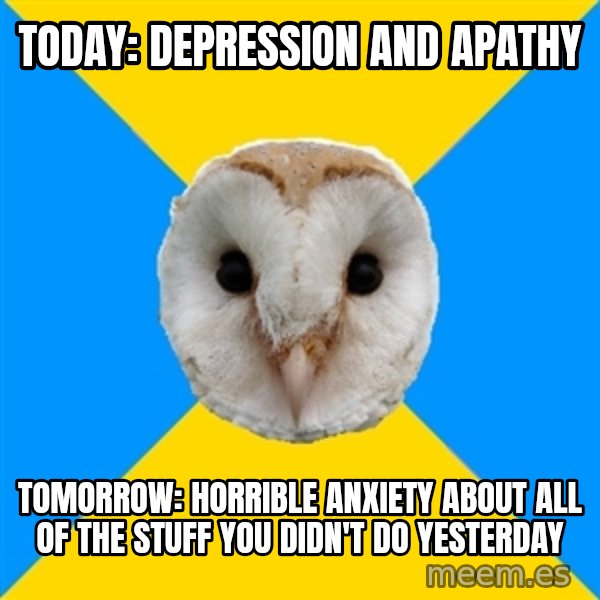Bipolar Owl meme: today: depression and apathy / tomorrow: horrible anxiety about all of the stuff you didn't do yesterday