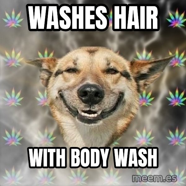 Stoner Dog meme: Washes hair / with body wash