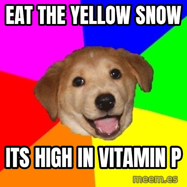 Advice Dog meme: eat the yellow snow / its high in vitamin p