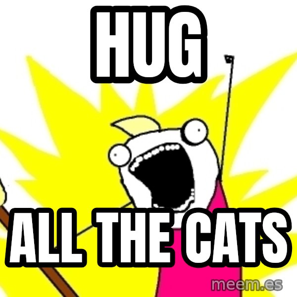 X ALL THE THINGS meme: Hug / all the cats