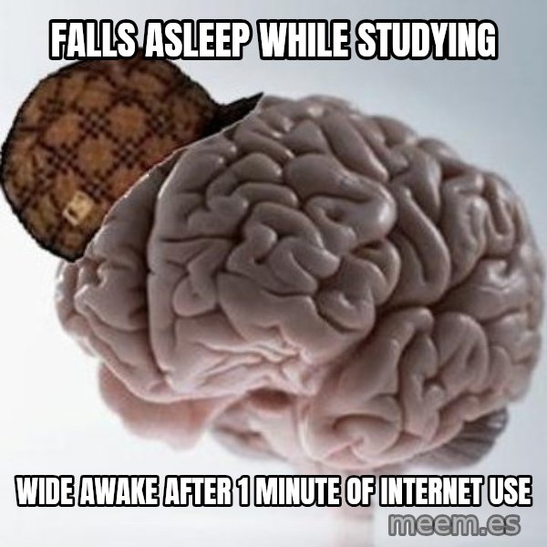 Scumbag Brain meme: FALLS ASLEEP WHILE STUDYING / WIDE AWAKE AFTER 1 MINUTE OF INTERNET USE