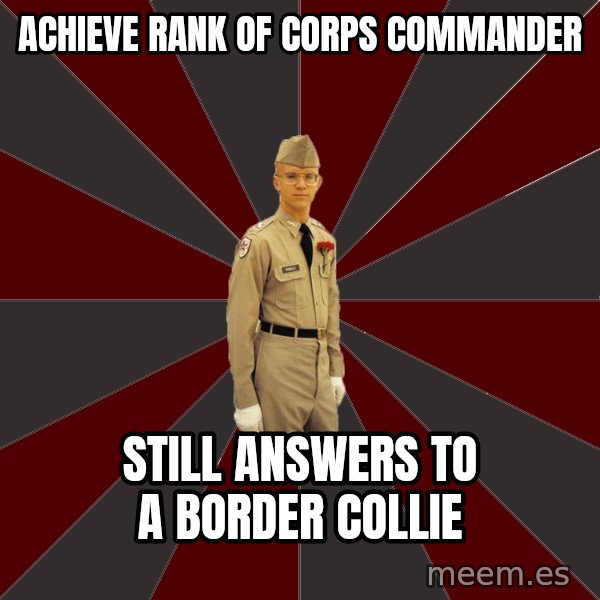 Stereotypical Corps Guy meme: Achieve Rank of corps commander / still answers to a Border Collie