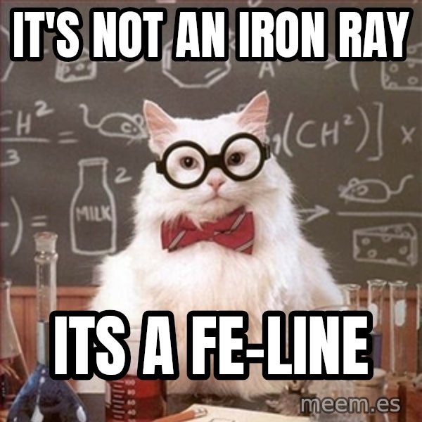 Science Cat meme: it's not an iron ray / its a fe-line