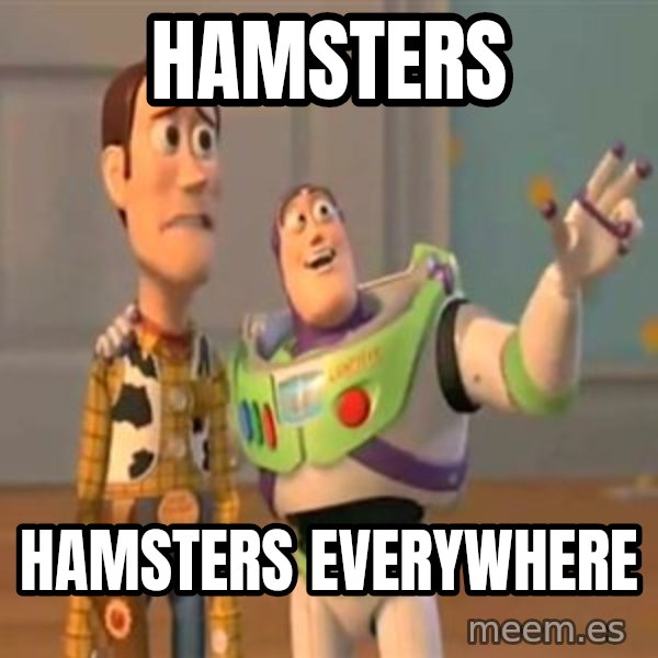 X, X Everywhere  meme: hamsters / hamsters everywhere