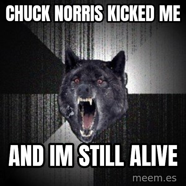 Insanity Wolf meme: Chuck norris kicked me / and im still alive