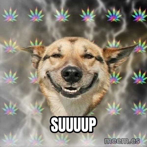 Stoner Dog meme: suuuup