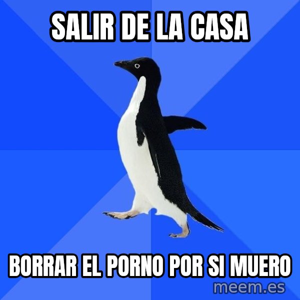 Socially Awkward Penguin meme: salir de la casa / borrar el porno por si muero
