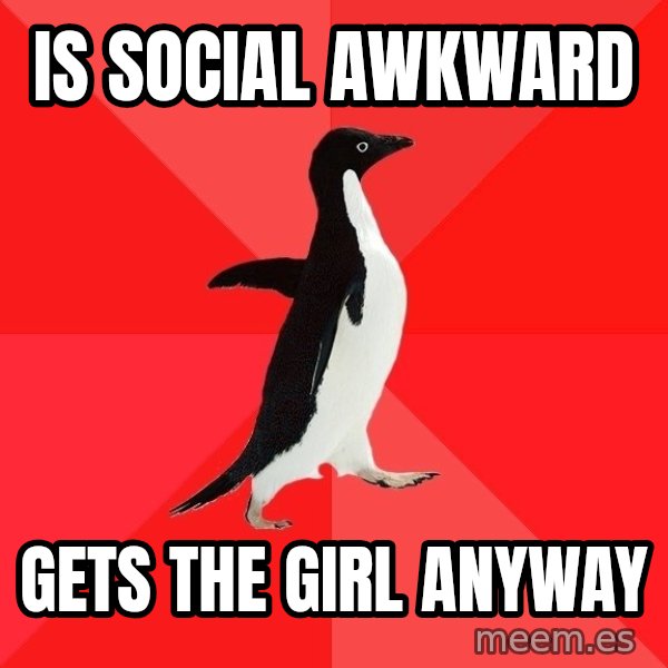 Socially Awesome Penguin meme: is social awkward / gets the girl anyway