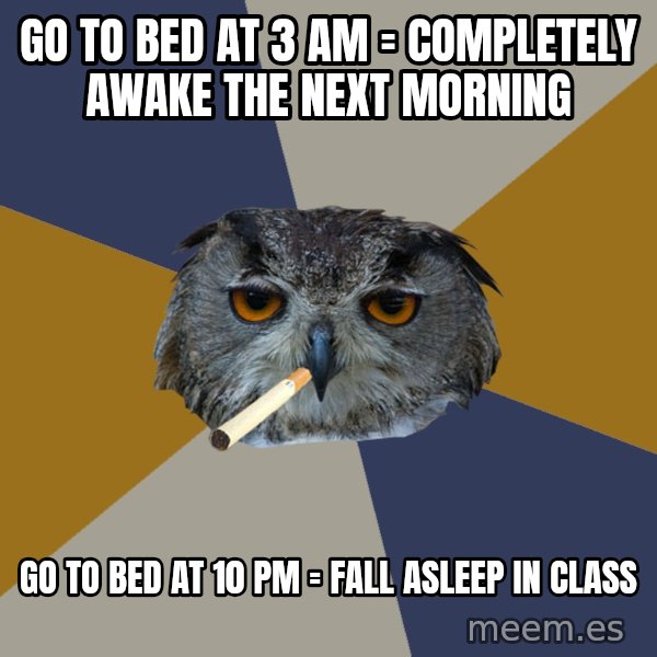 Art Student Owl meme: GO TO BED AT 3 AM = COMPLETELY AWAKE THE NEXT MORNING / GO TO BED AT 10 PM = FALL ASLEEP IN CLASS
