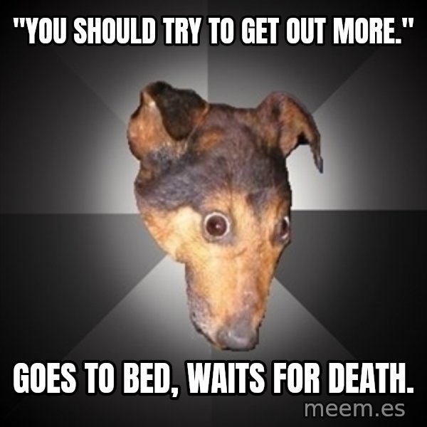Depression Dog meme: "you should try to get out more." / goes to bed, waits for death.