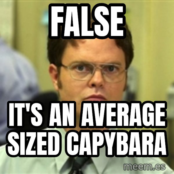 Dwight Schrute meme: False / It's an average sized capybara