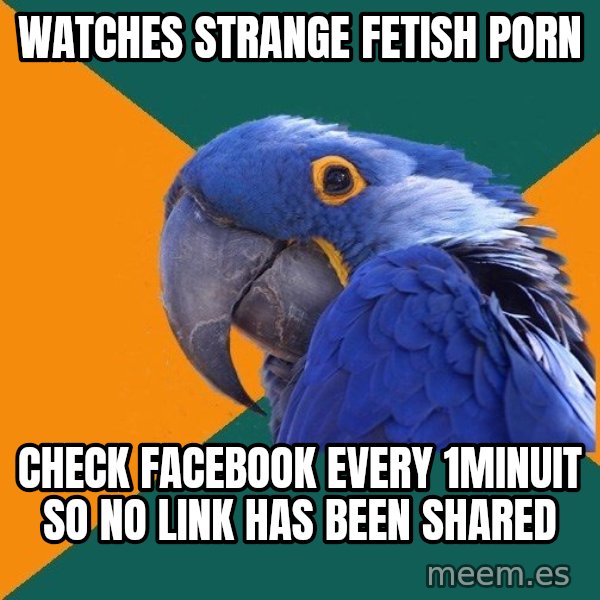 Paranoid Parrot meme: Watches strange fetish porn / Check facebook every 1minuit so no link has been shared