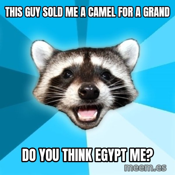 Lame Pun Coon meme: This guy sold me a camel for a grand / do you think egypt me?