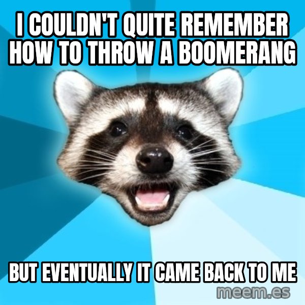 Lame Pun Coon meme: I couldn't quite remember how to throw a boomerang / BUT EVENTUALLY IT CAME BACK TO ME