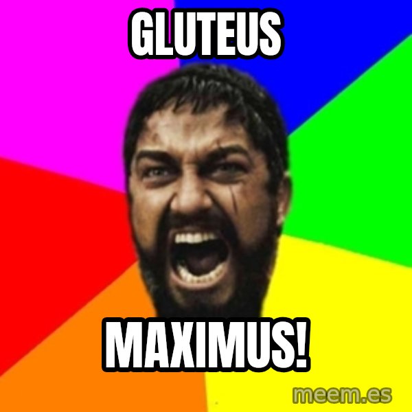 sparta meme: Gluteus / Maximus!