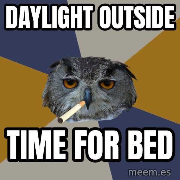 Art Student Owl meme: daylight outside / time for bed