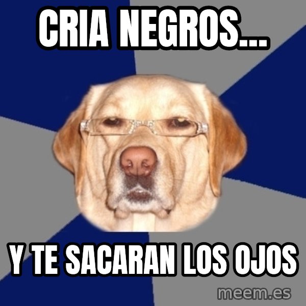Racist Dog meme: Cria negros... / Y te sacaran los ojos