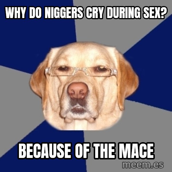 Racist Dog meme: Why do niggers cry during sex? / Because of the mace
