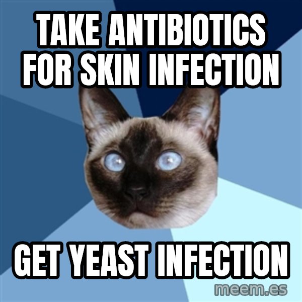 Chronic Illness Cat meme: Take antibiotics for skin infection / get yeast infection