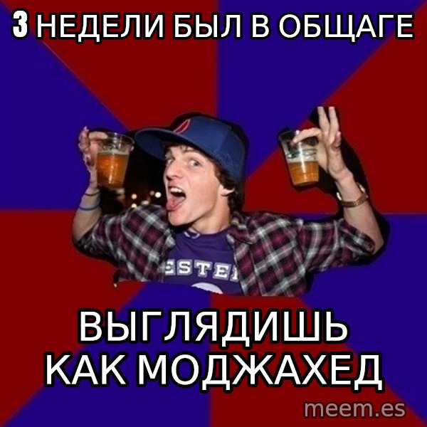 Sunny Student meme: 3 недели был в общаге / выглядишь как моджахед