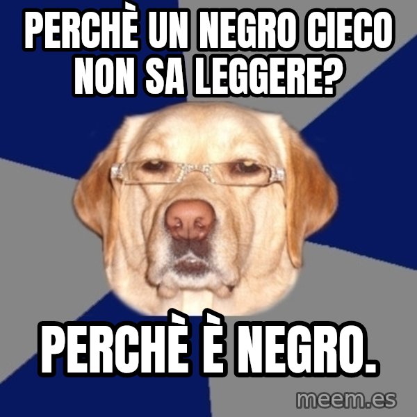 Racist Dawg meme: Perchè un negro cieco non sa leggere? / perchè è negro.