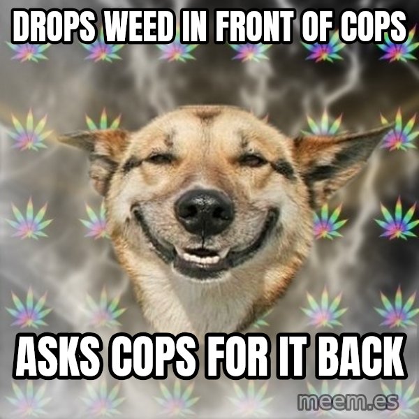 Stoner Dog meme: drops weed in front of cops / asks cops for it back