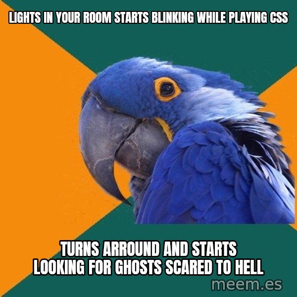 Paranoid Parrot meme: lights in your room starts blinking while playing Css / turns arround and starts looking for ghosts scared to hell
