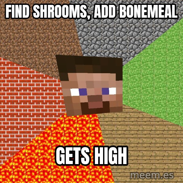 Minecraft Guy meme: Find shrooms, add bonemeal / gets high