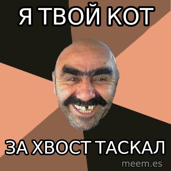 Provincial Man meme: Я твой кот / за хвост таскал