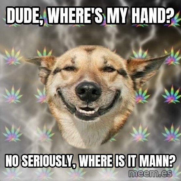 Stoner Dog meme: dude, where's my hand? / no seriously, where is it mann?