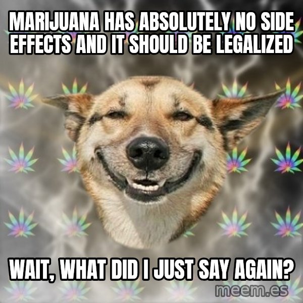 Stoner Dog meme: marijuana has absolutely no side effects and it should be legalized / wait, what did i just say again?