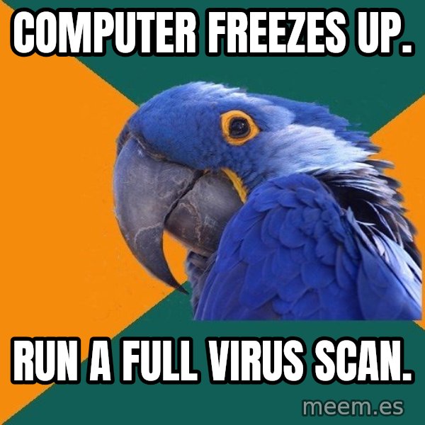 Paranoid Parrot meme: COMPUTER FREEZES UP. / RUN A FULL VIRUS SCAN.