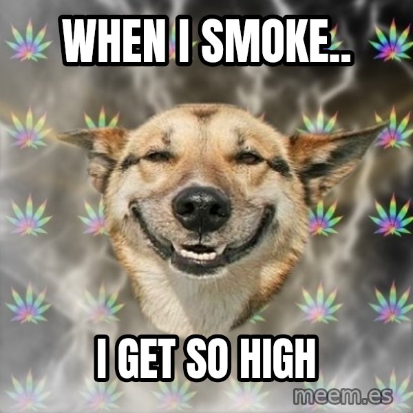 Stoner Dog meme: WHEN I SMOKE.. / I GET SO HIGH