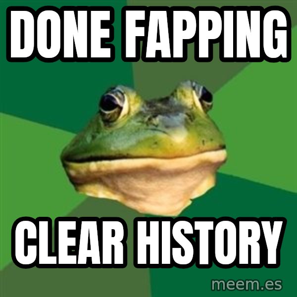 Foul Bachelor Frog meme: done fapping / clear history